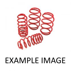 Pro Sport - Fiat Punto 55/60/75/90/Cabrio excl. 1.7D/1.7 TD/GT Turbo 176/176C 93-99 60mm Lowering Springs